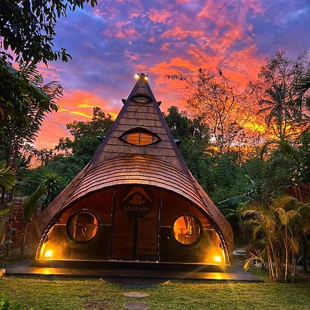 فندق Igabara Hobbit House تانجالي المظهر الخارجي الصورة