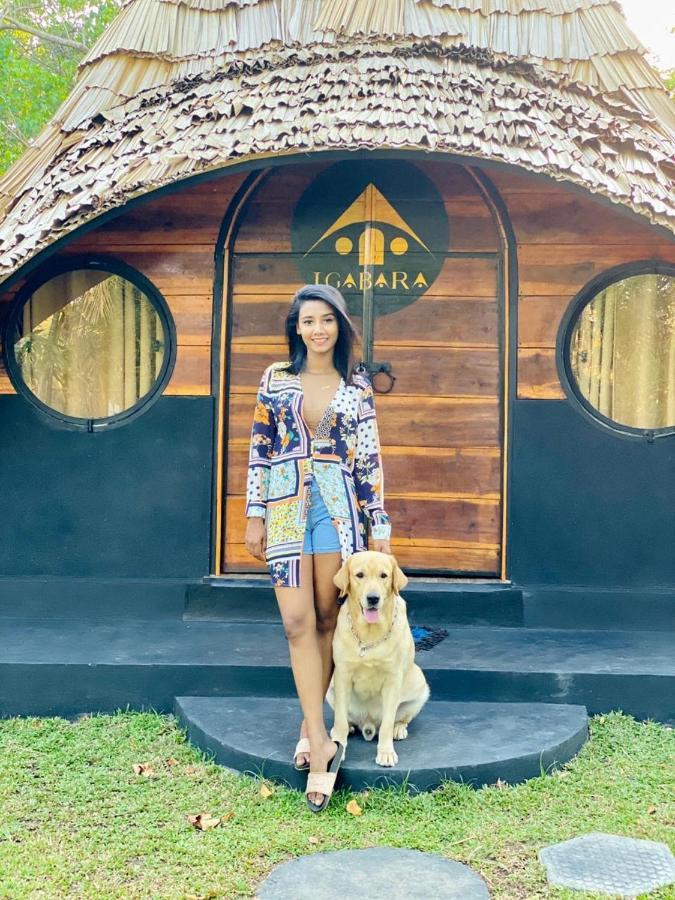 فندق Igabara Hobbit House تانجالي المظهر الخارجي الصورة
