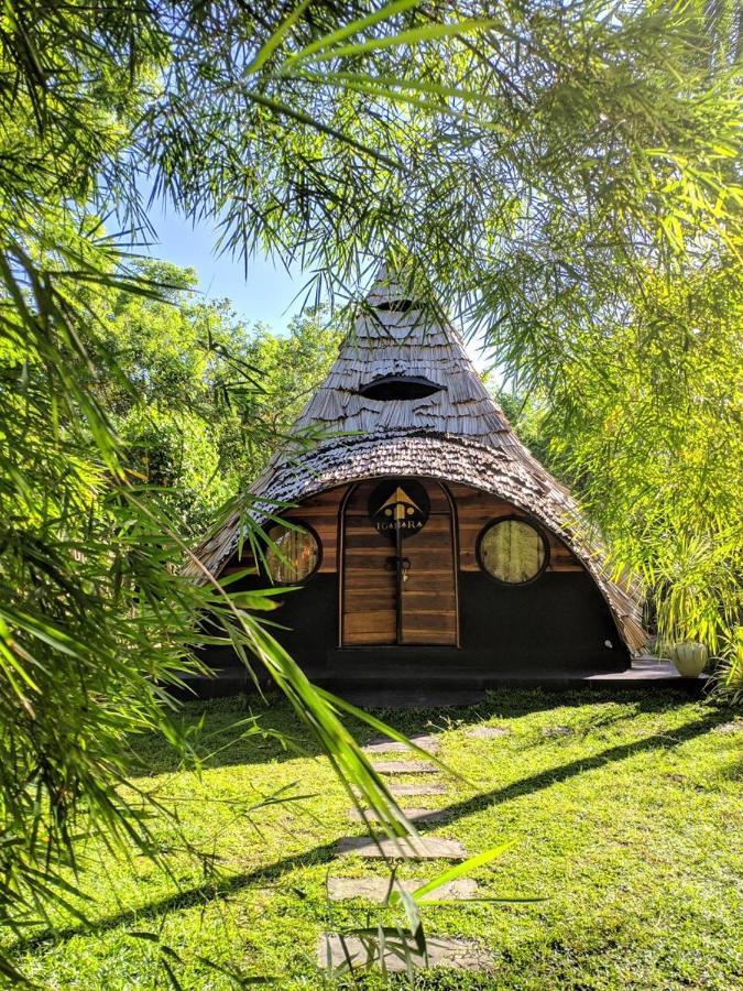 فندق Igabara Hobbit House تانجالي المظهر الخارجي الصورة