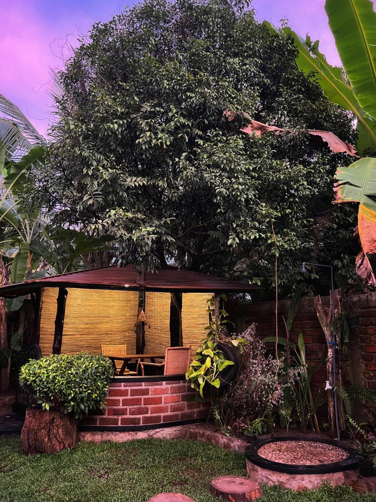 فندق Igabara Hobbit House تانجالي المظهر الخارجي الصورة